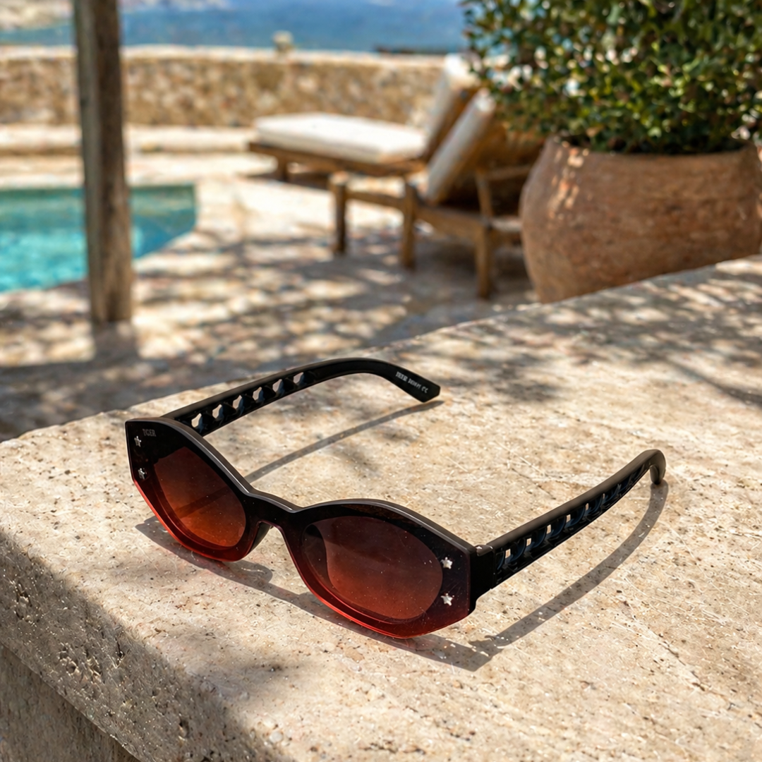 Sunglass Fancy 86011 BWN DS