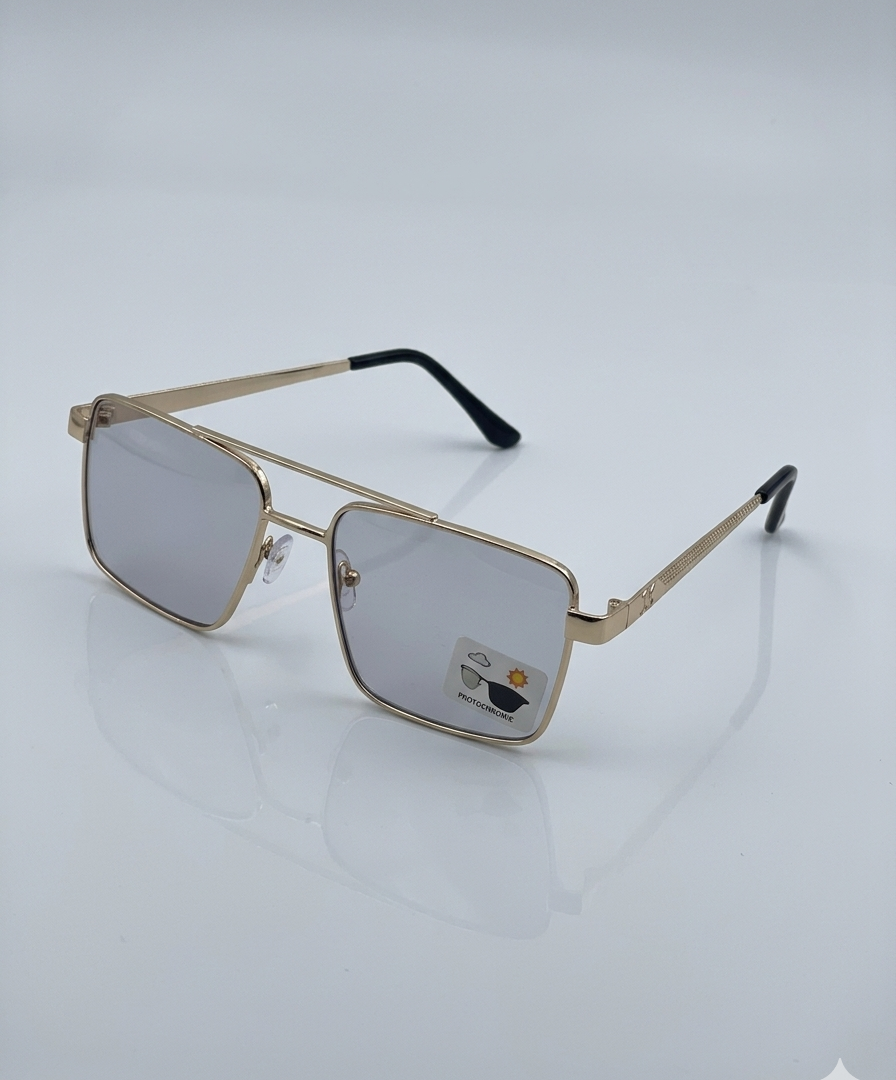 Sunglass Day-Night 1004DN