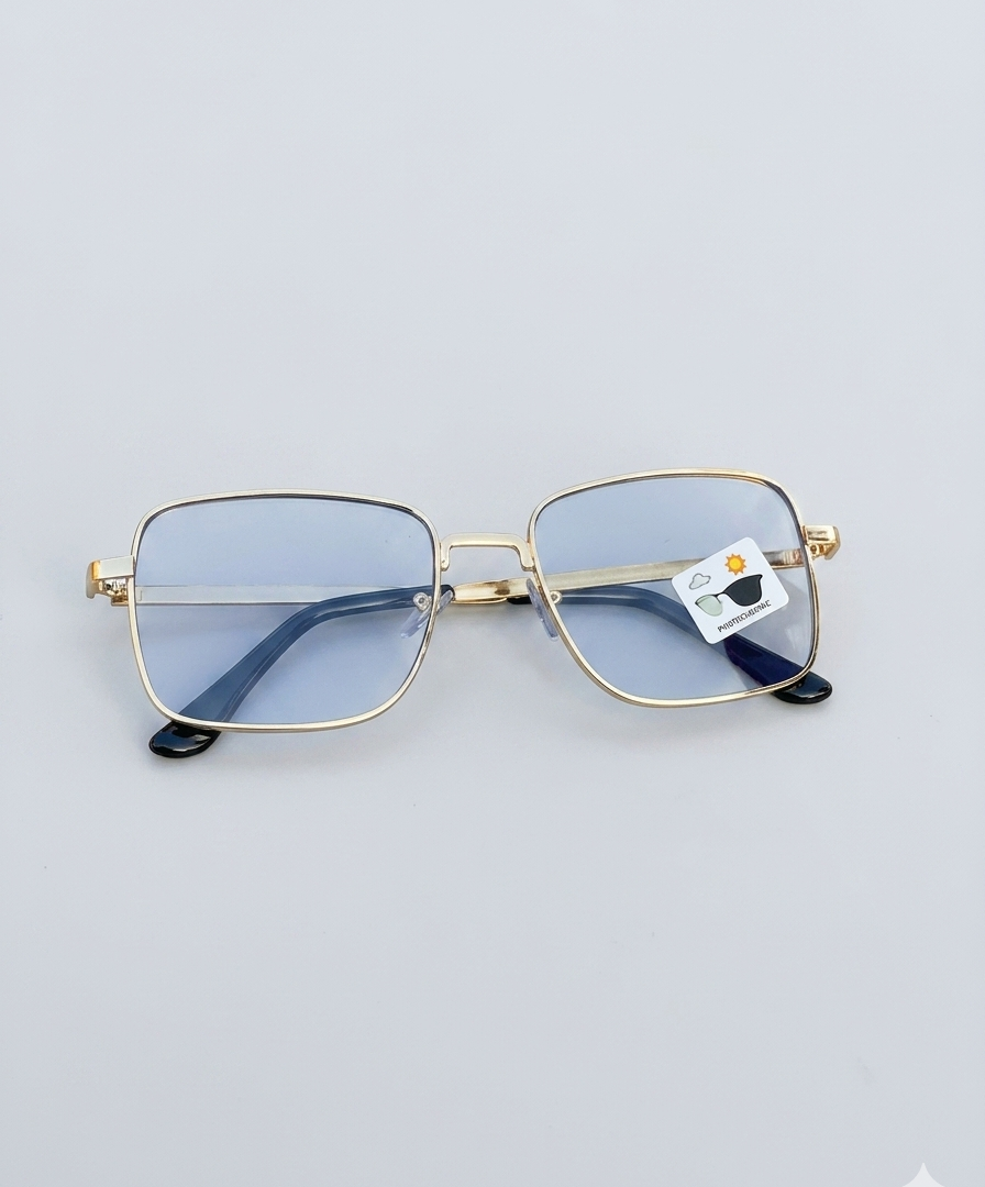 Sunglass Day-Night 217DN
