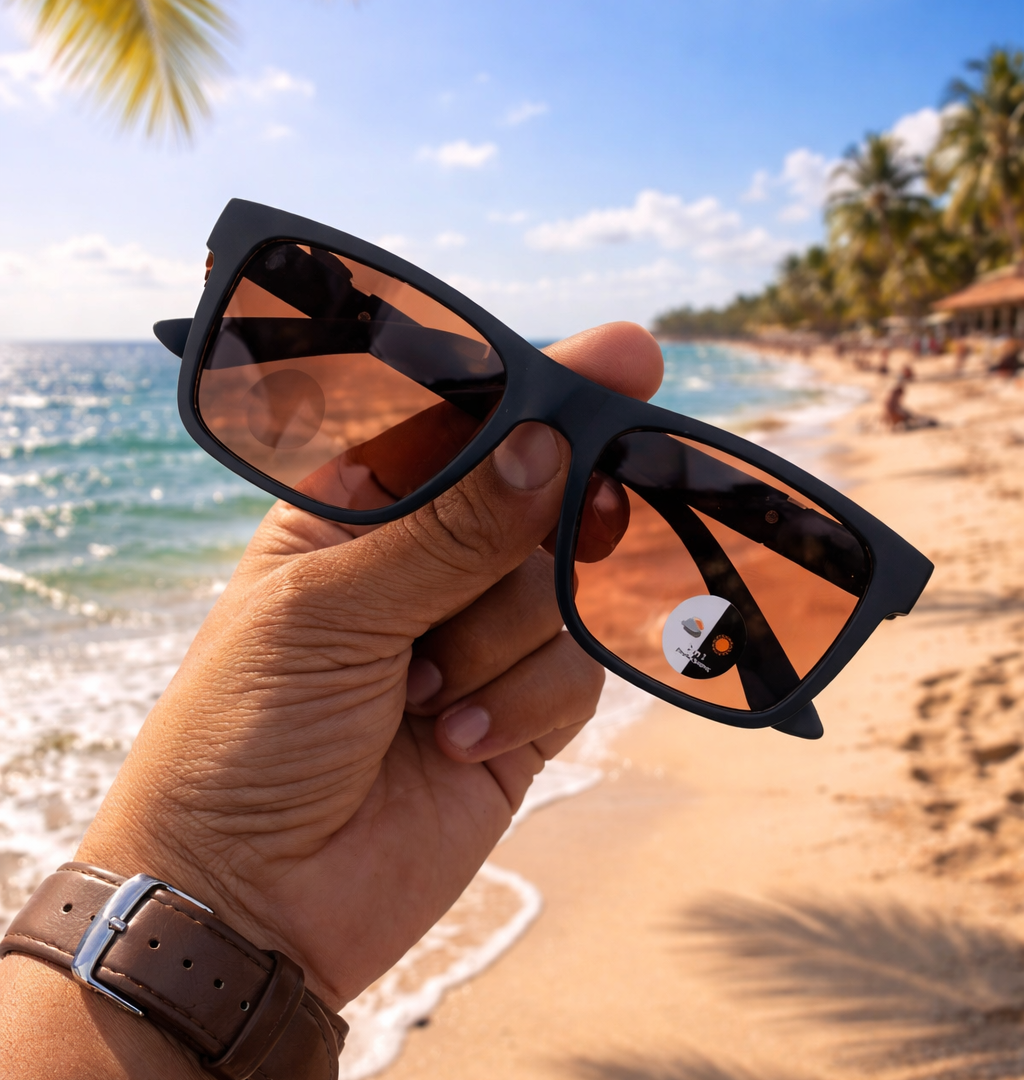 Sunglass Day-Night 2113